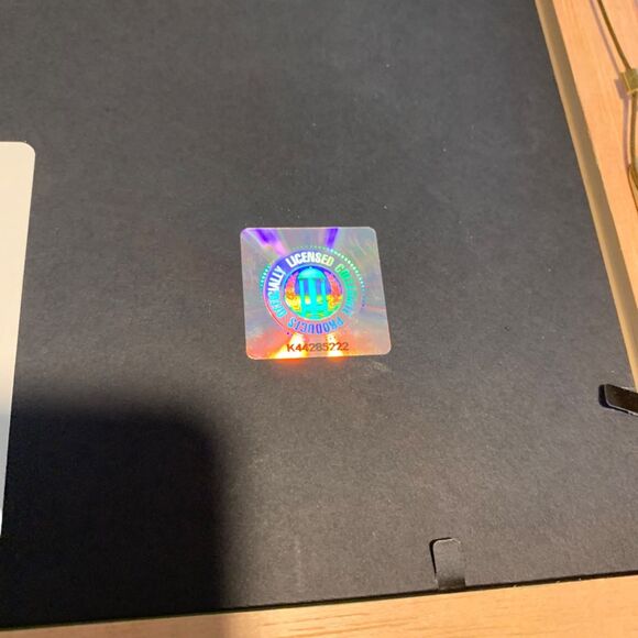 Southern Illinois University Carbondale Official Diploma Frame - Picture 8 of 12